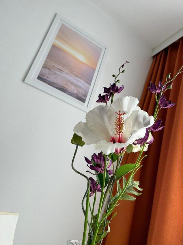 Apartment Harmony Graz Buitenkant foto